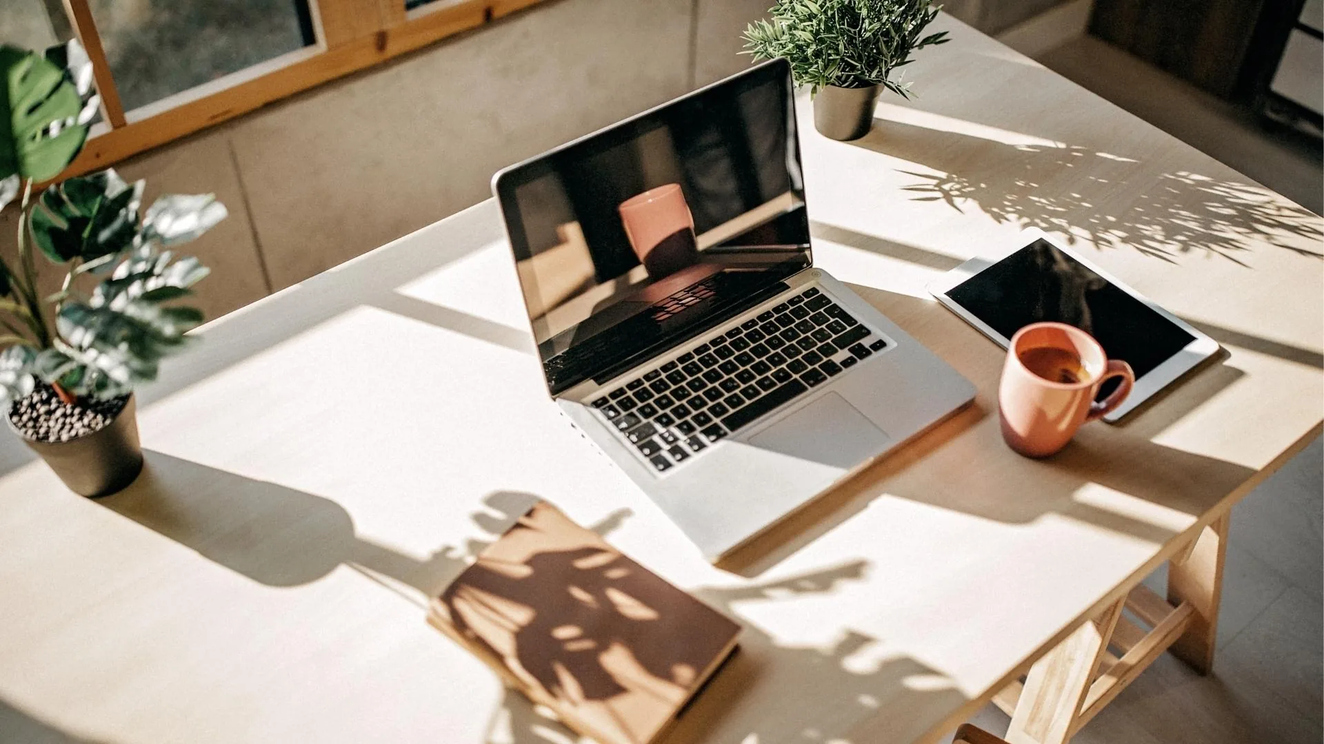 5 Steps to Starting Your Online Direct To Consumer (D2C) Brand