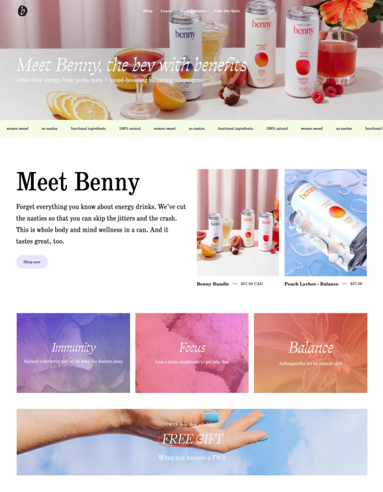 website preview