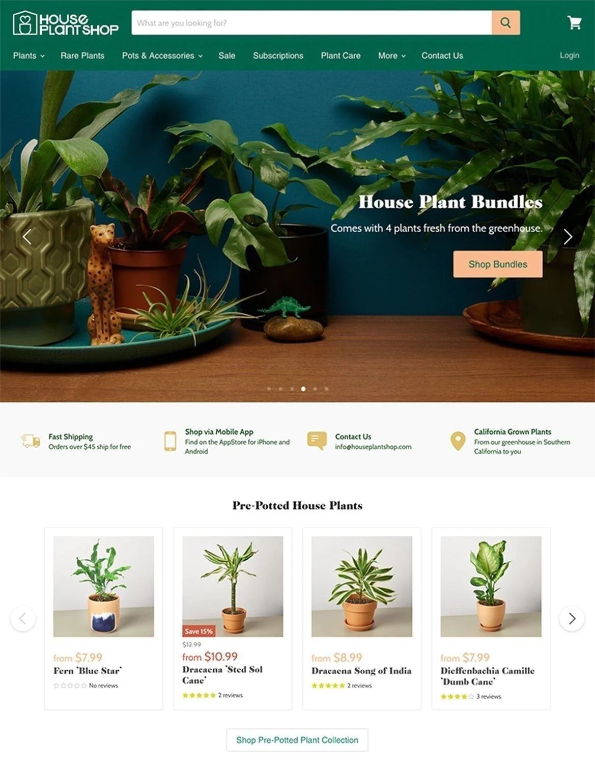 website preview