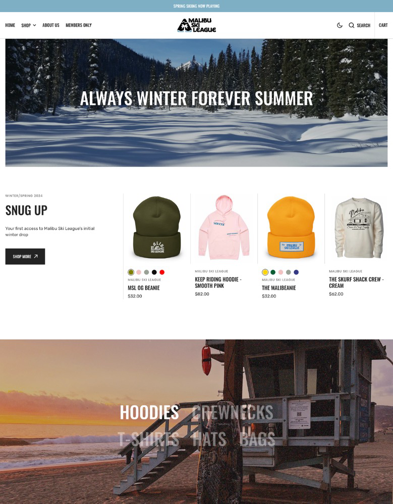website preview