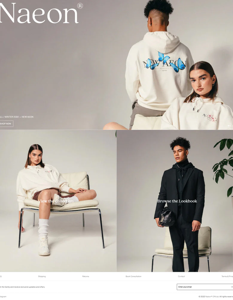 website preview